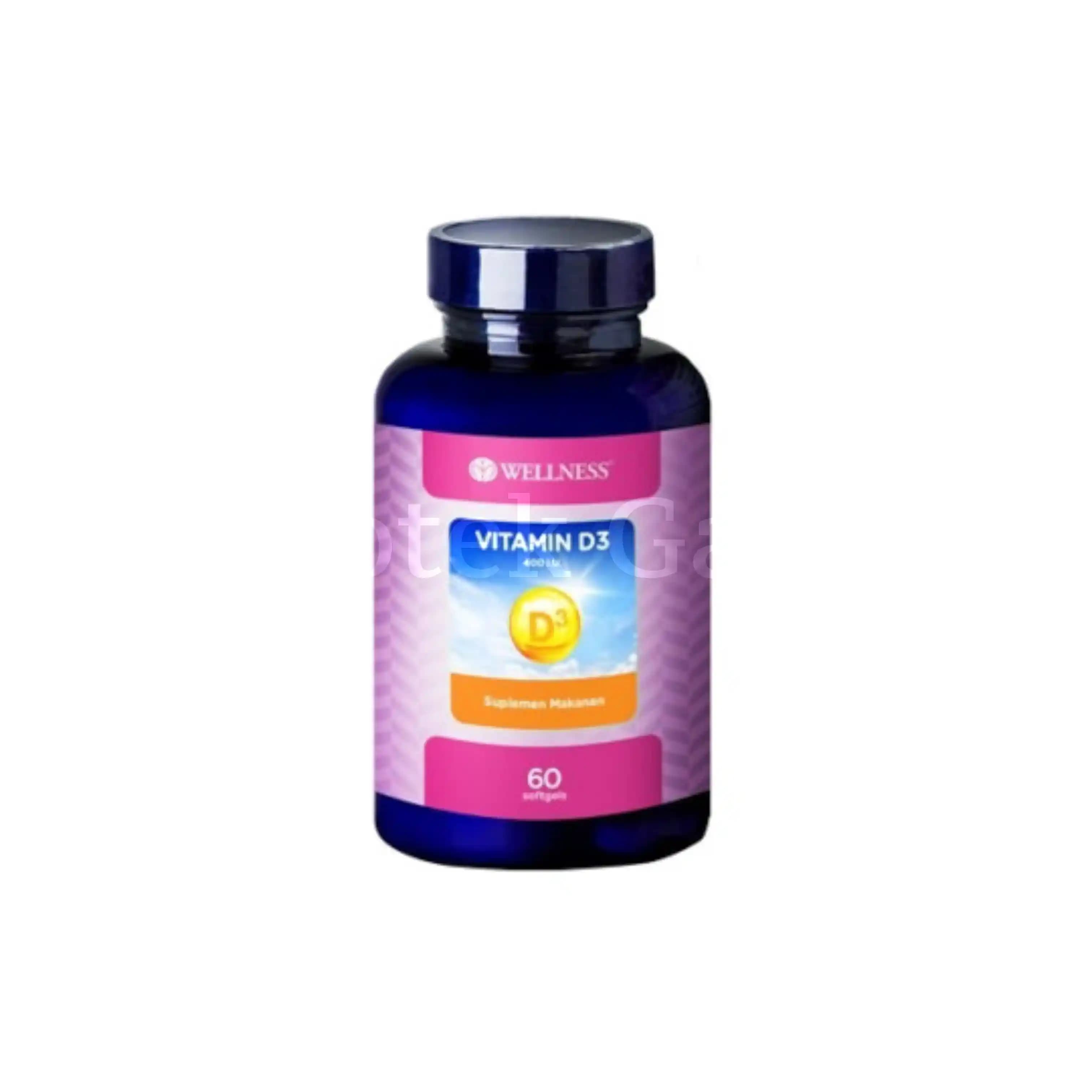 WELLNESS VITAMIN D3 400I.U 60S