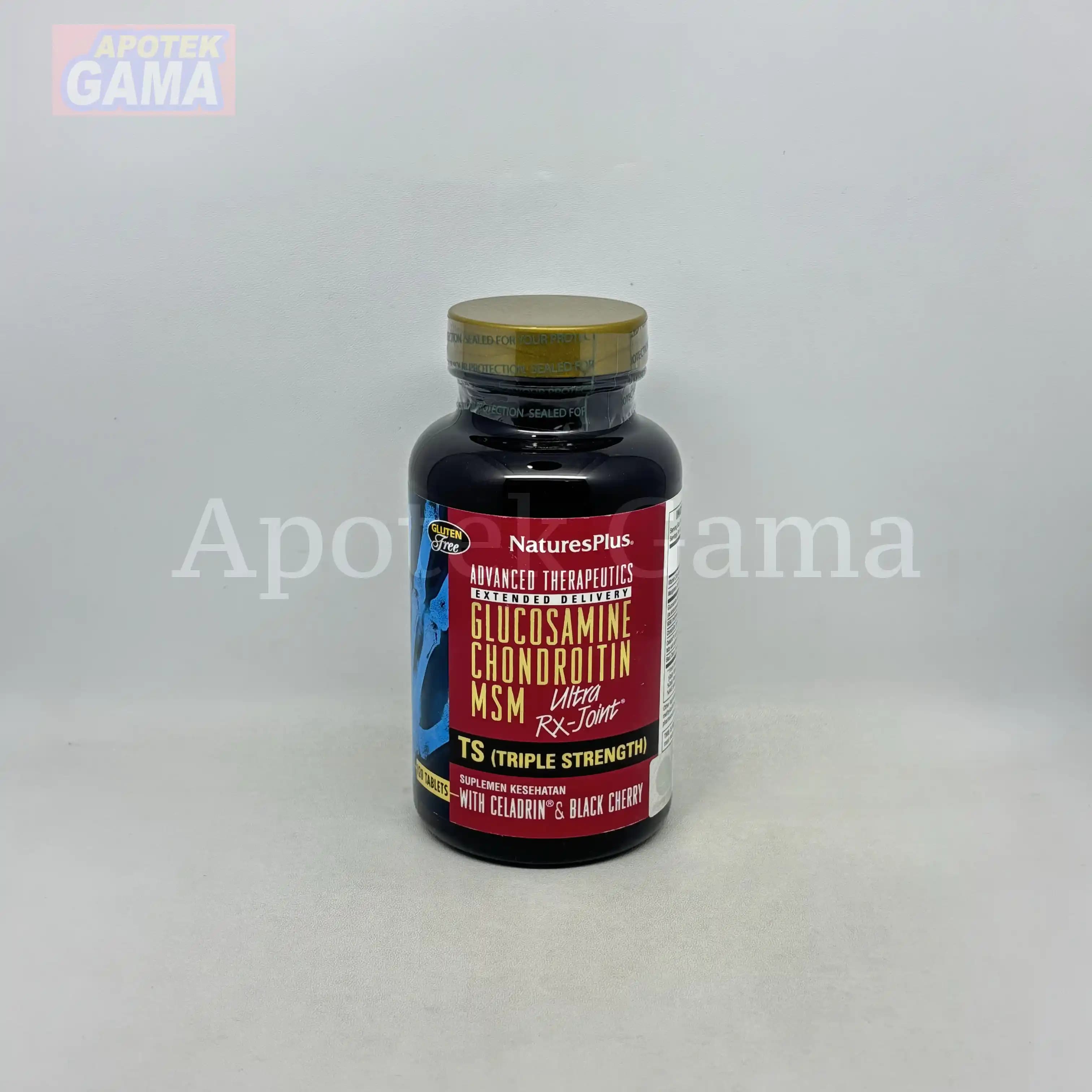 NATURES PRIDE NP GLUCOSAMIN + CHONDROITIN ISI 100 3