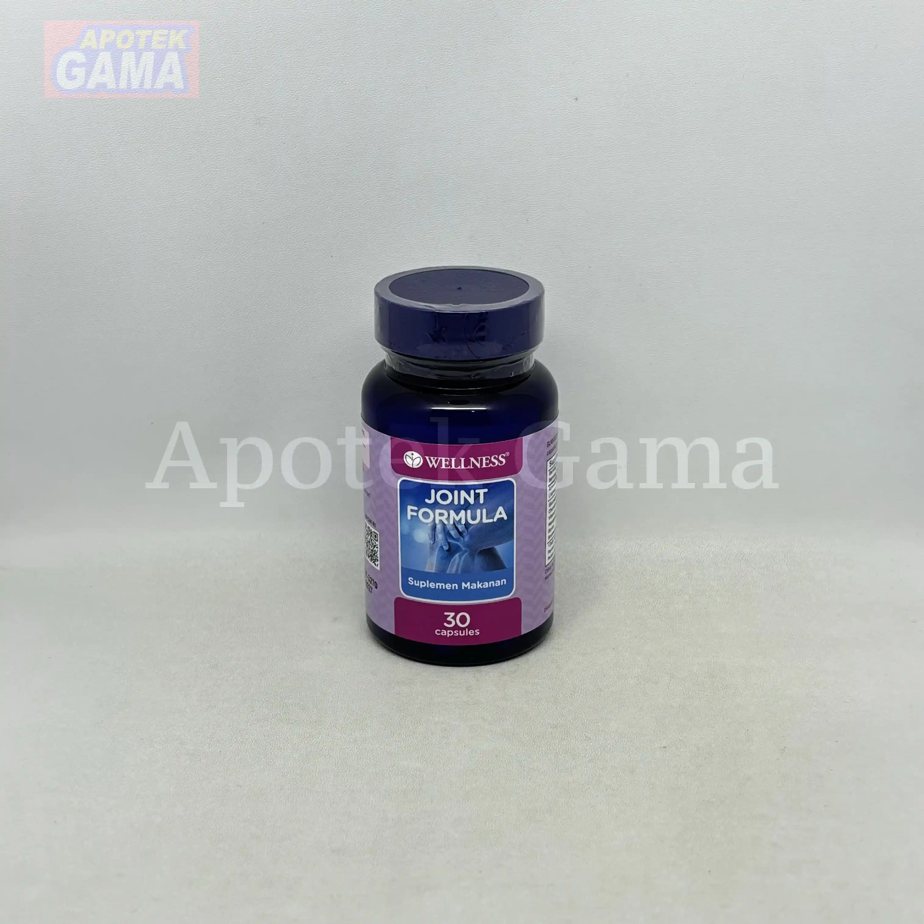 WELLNESS JOINT FORMULA 30S