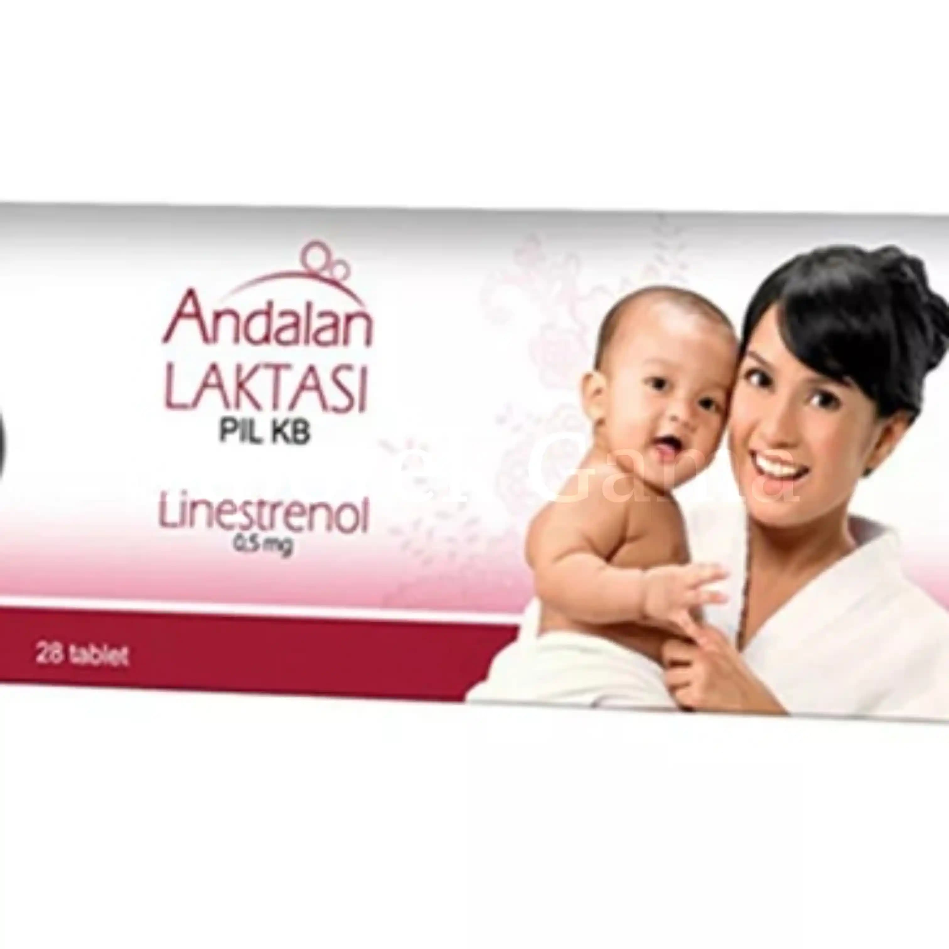 ANDALAN LAKTASI