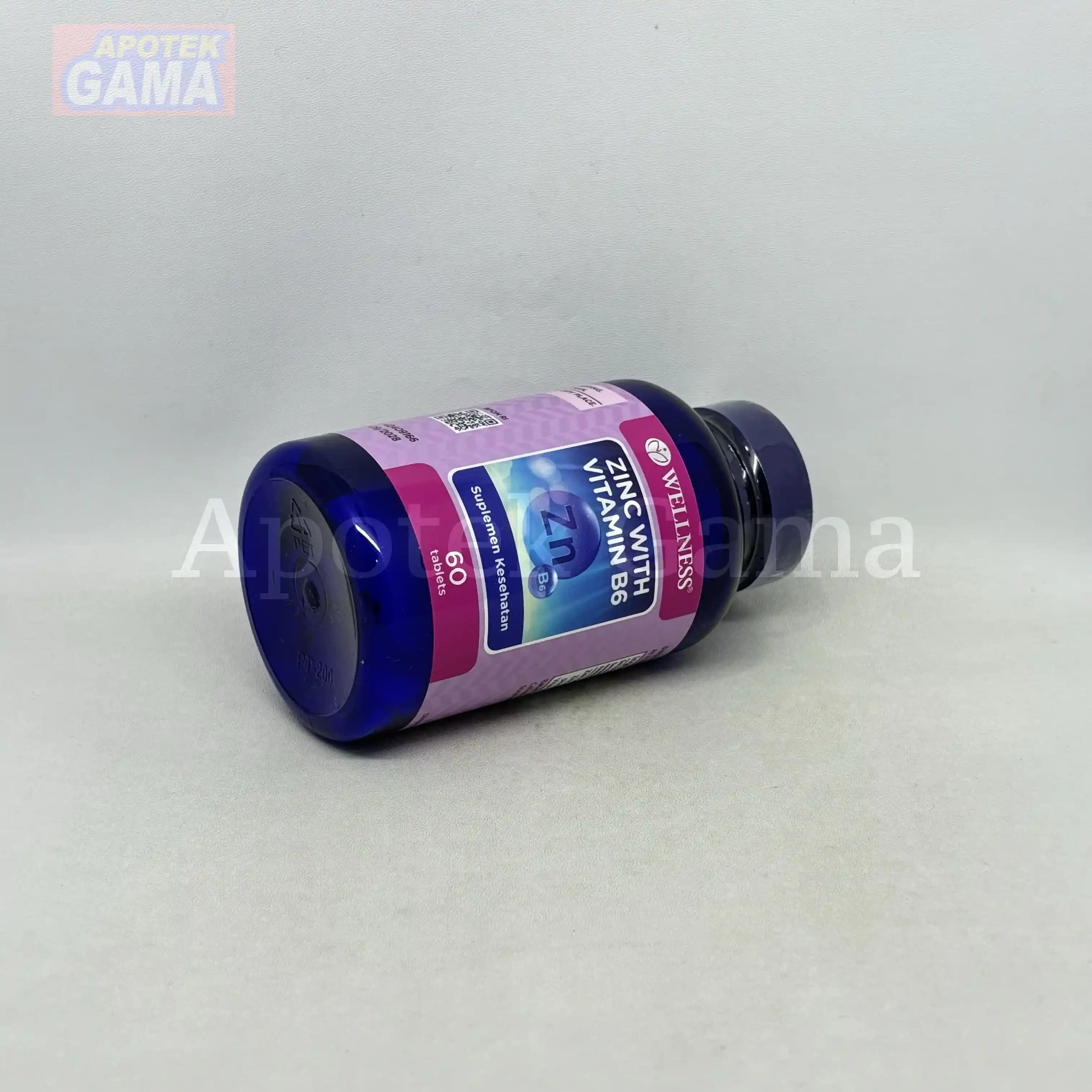WELLNESS VIT ZINC WITH B6 60S 2