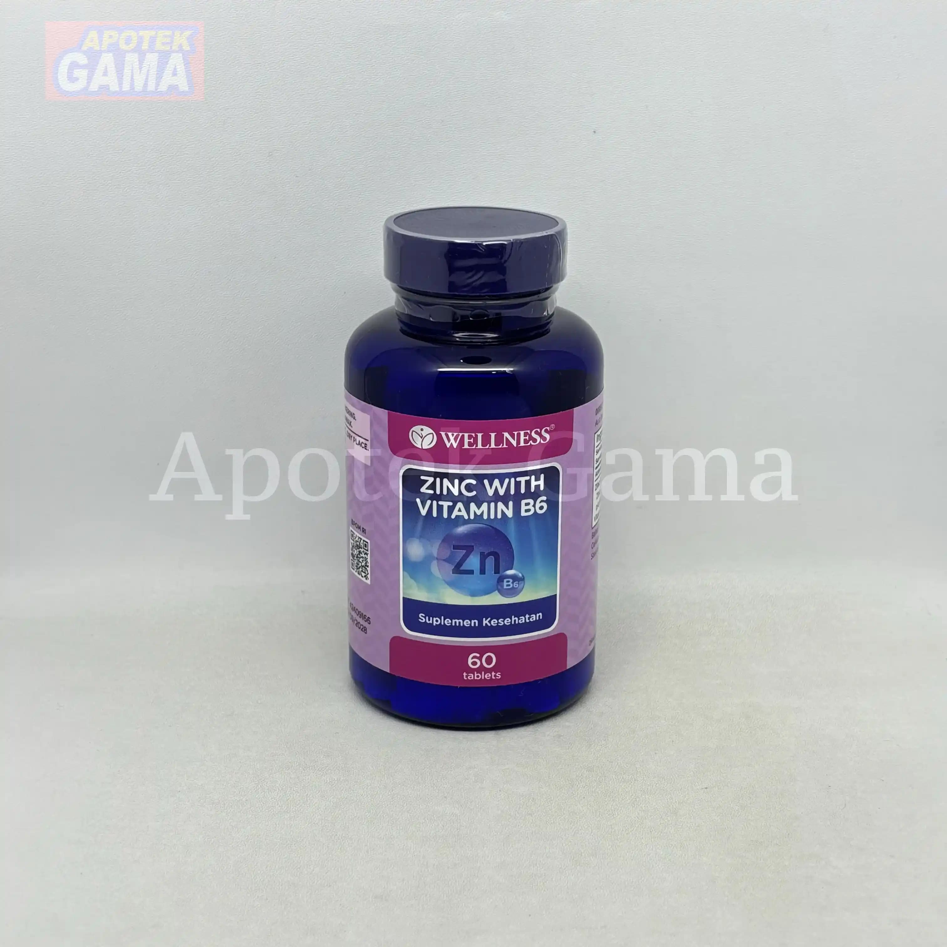 WELLNESS VIT ZINC WITH B6 60S 5