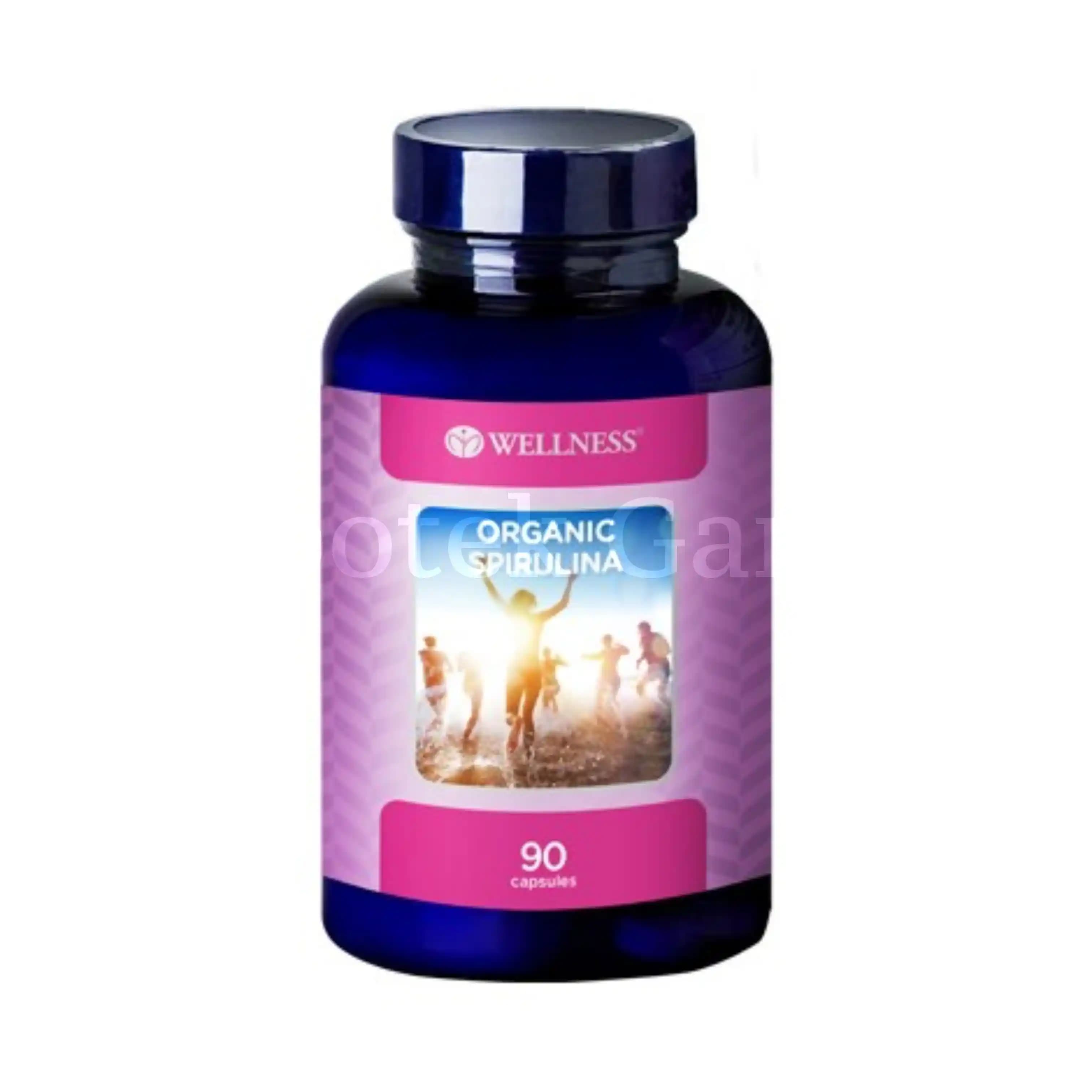 WELLNESS ORGANIC SPIRULINA 90S