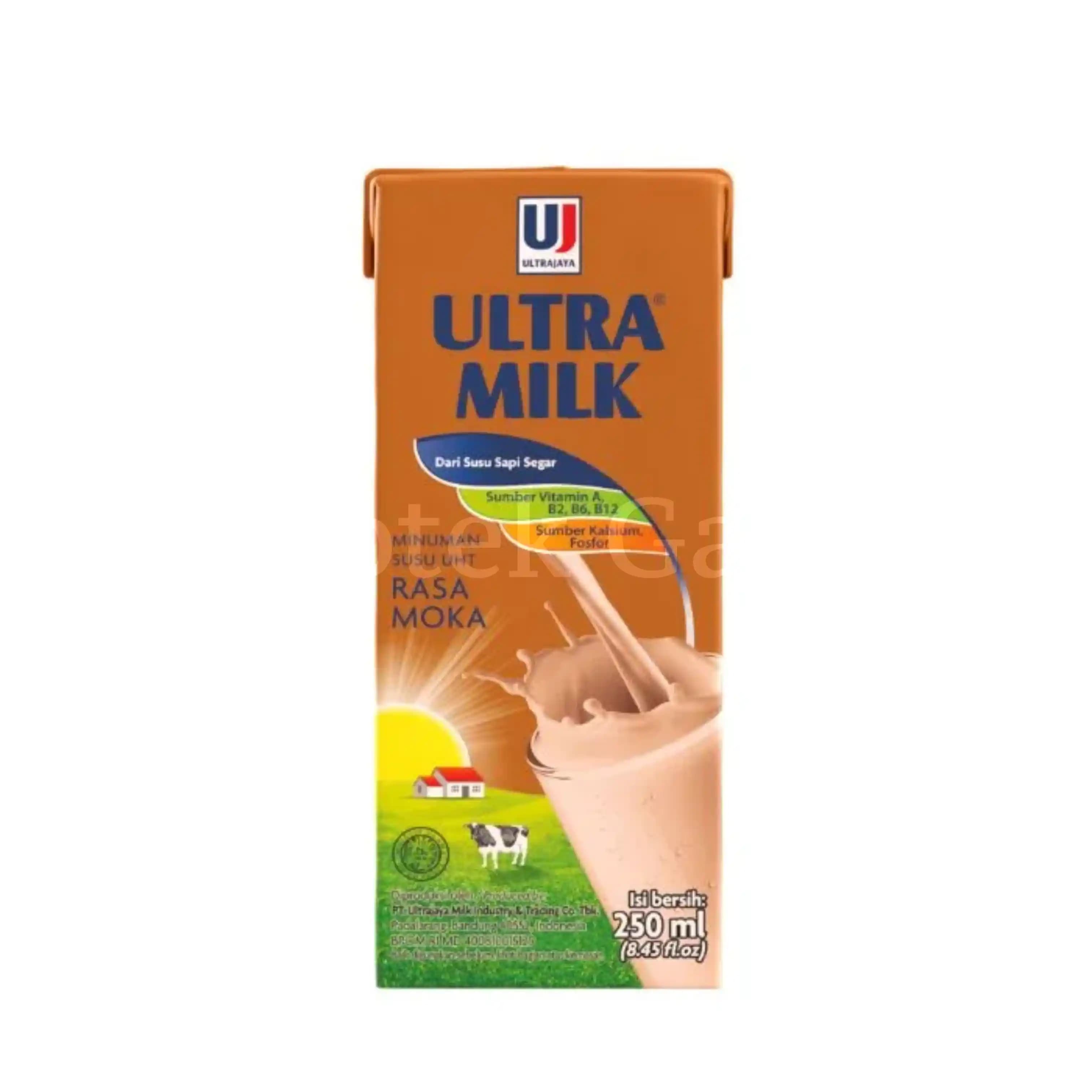 ULTRA MILK MOCCA 250ML 2