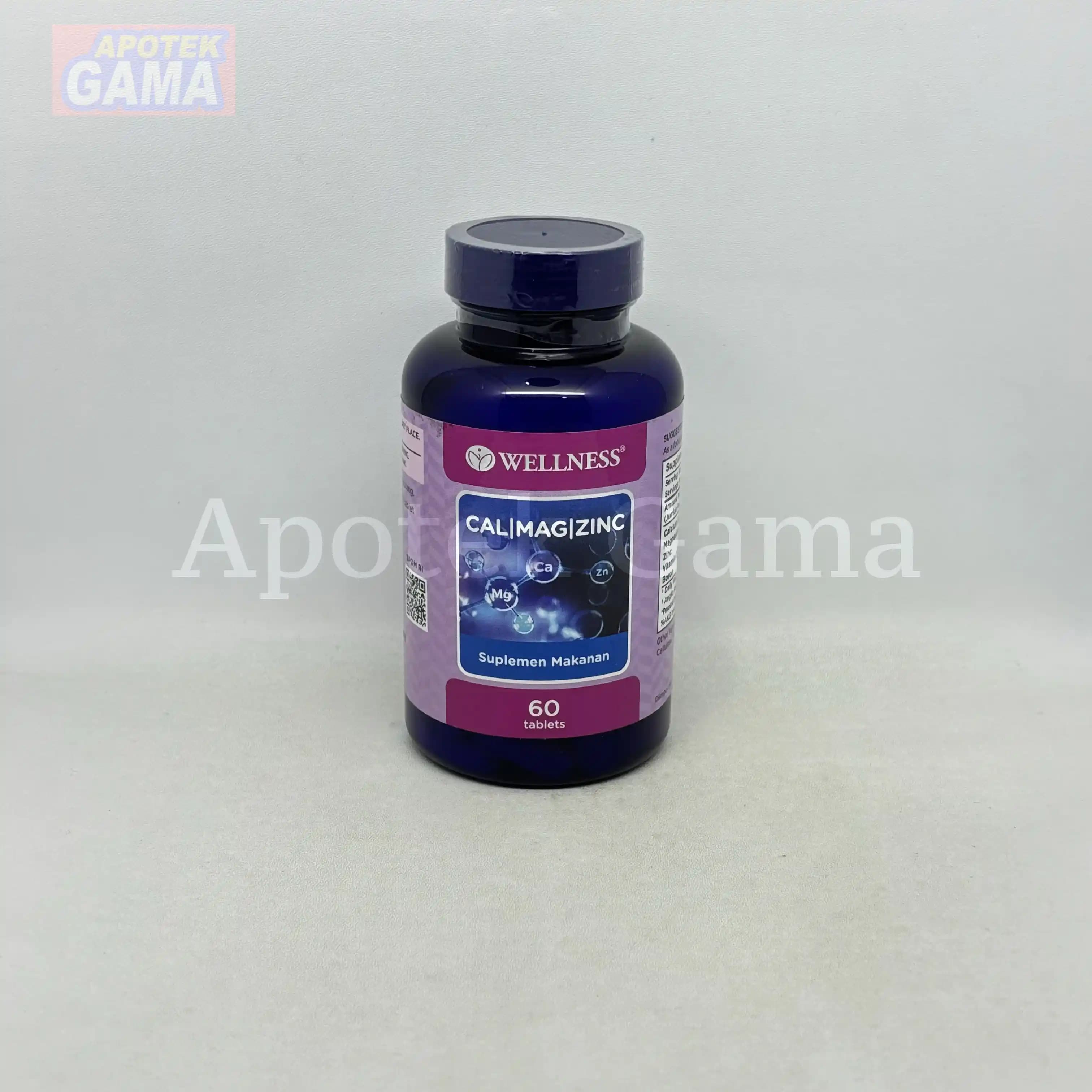 WELLNESS CAL/MAG/ZINC 60S 5