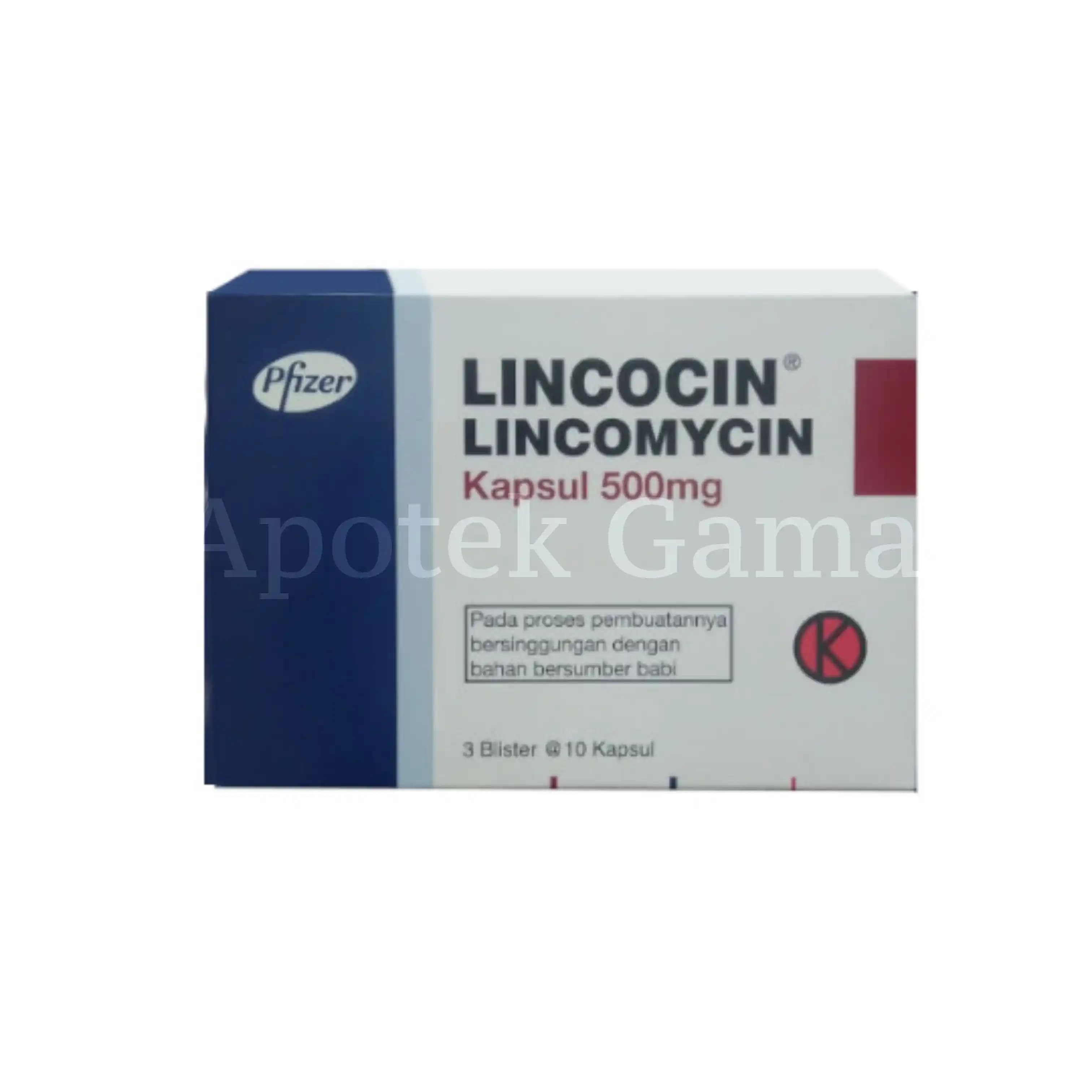 LINCOCIN 500MG/30 TAB