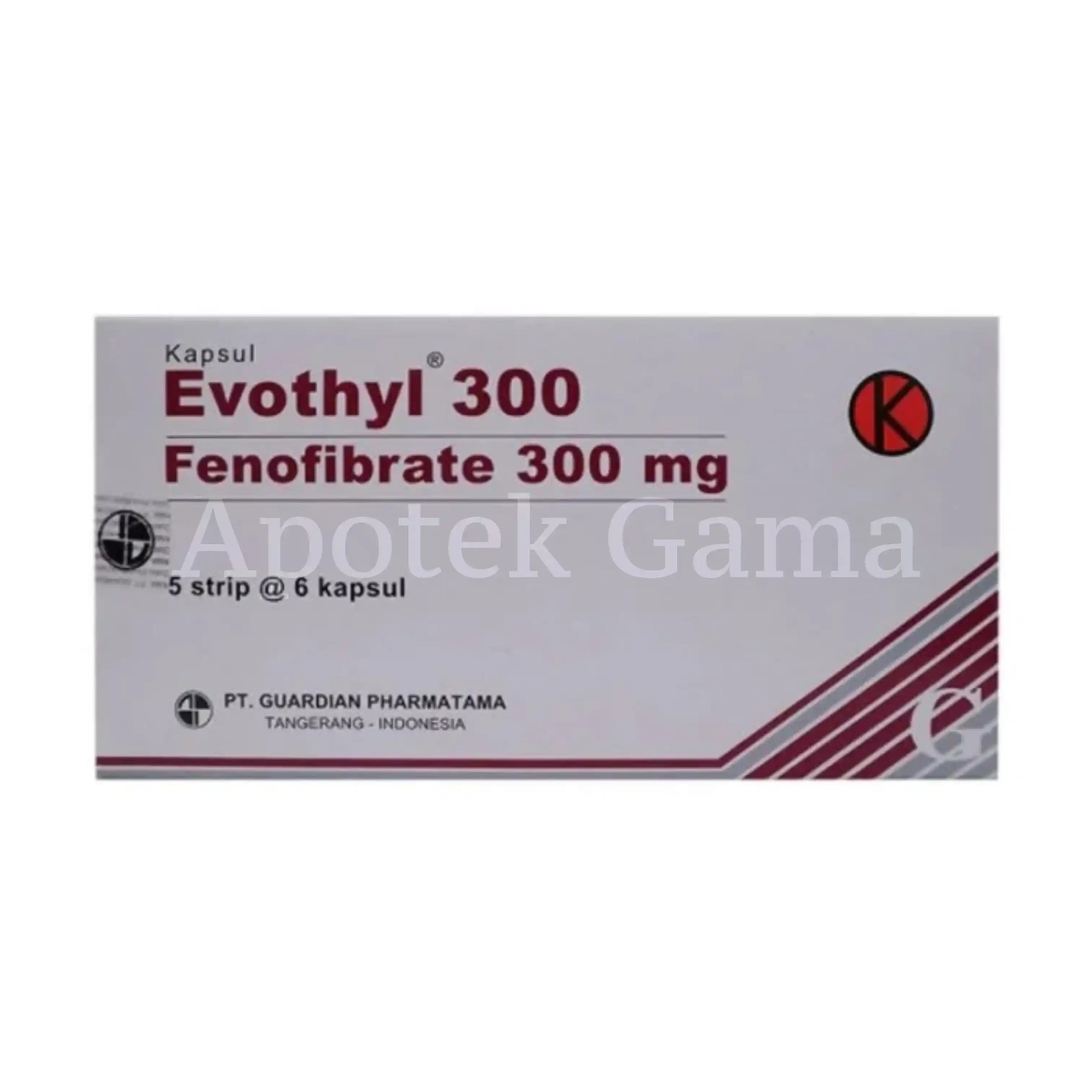 EVOTHYL TAB 300