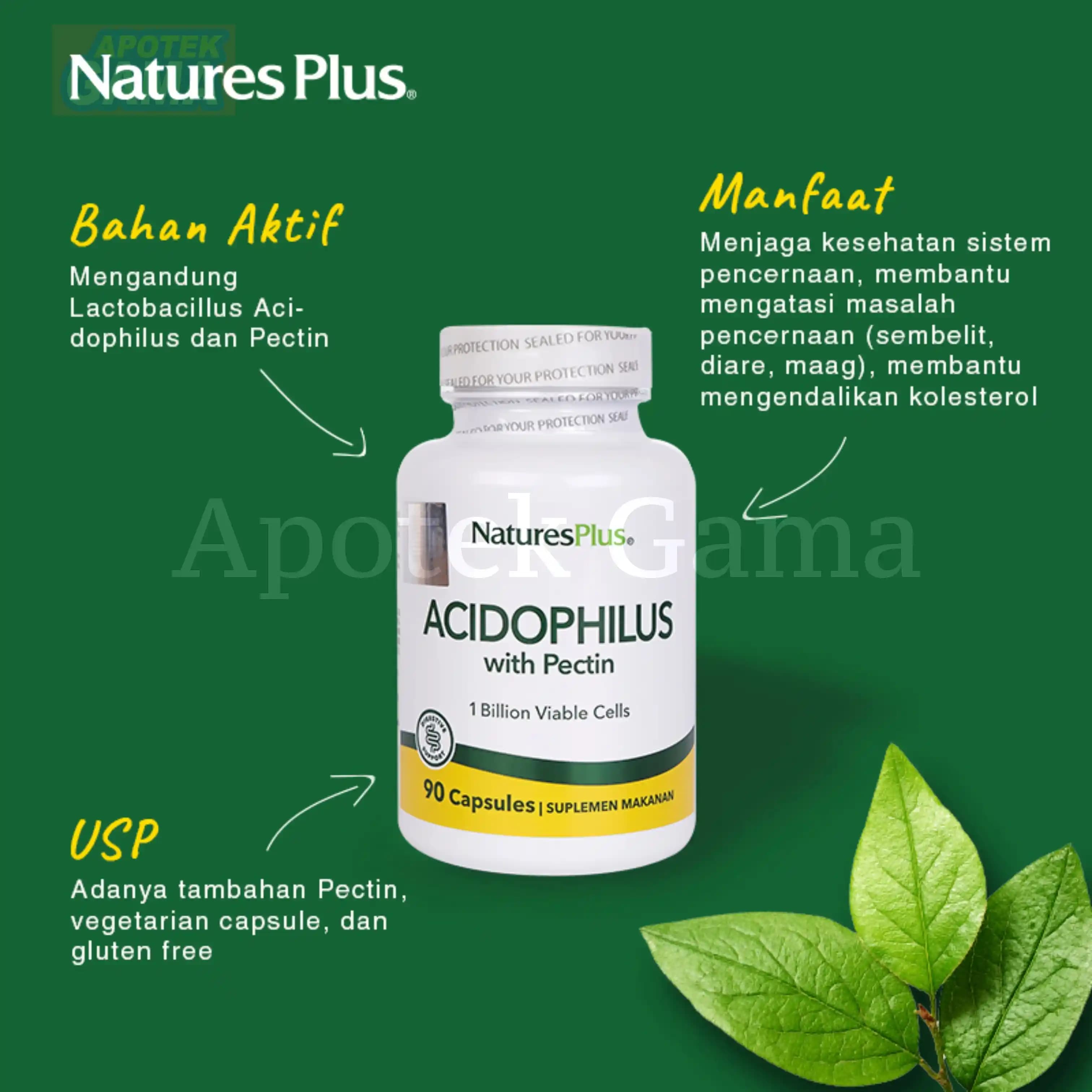 NATURES PLUS ACIDOPHILUS 90S